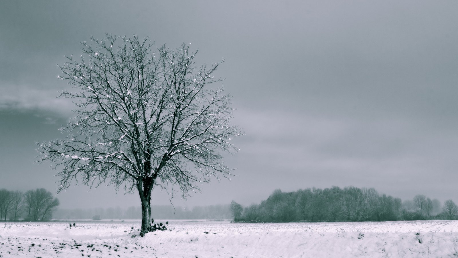 Ultra HD, 4K, Landscape, 62555578